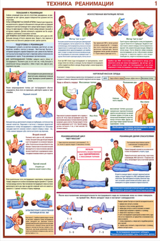 ПС02 Оказание первой помощи пострадавшим (ламинированная бумага, a2, 6 листов) - Плакаты - Медицинская помощь - ohrana.inoy.org